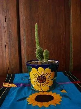 Casa Costa Azul 3* San José del Cabo